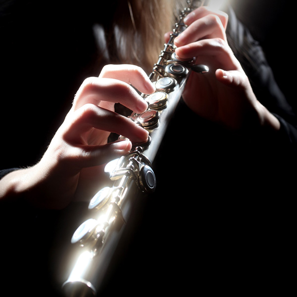 Flute & Recorder Lessons in Rockcliffe at Home 