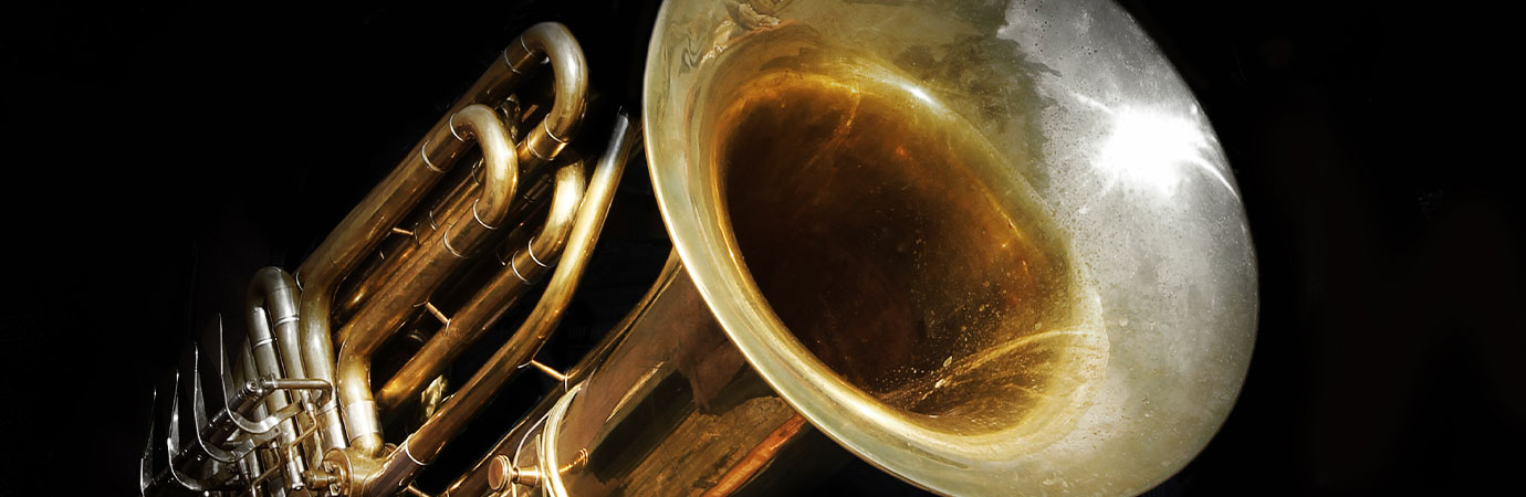 Tuba Lessons in Bayridge at Home