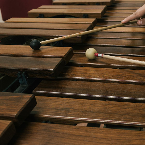Xylophone Lessons in North Toronto