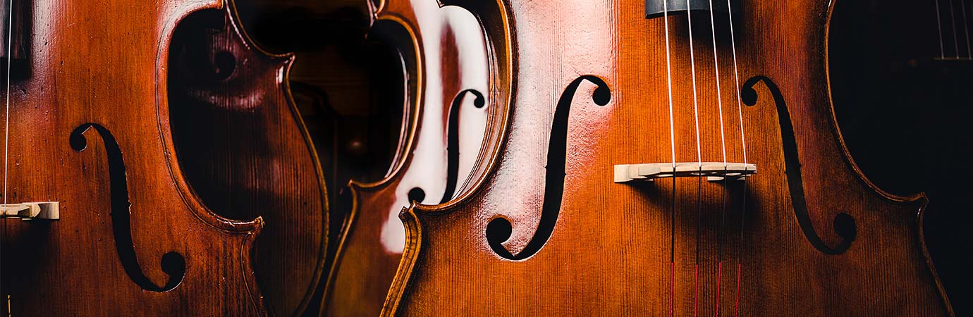 Cello Lessons in Toronto (GTA) Music School