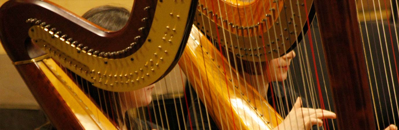 Harp Lessons in Toronto Rosedale at Home