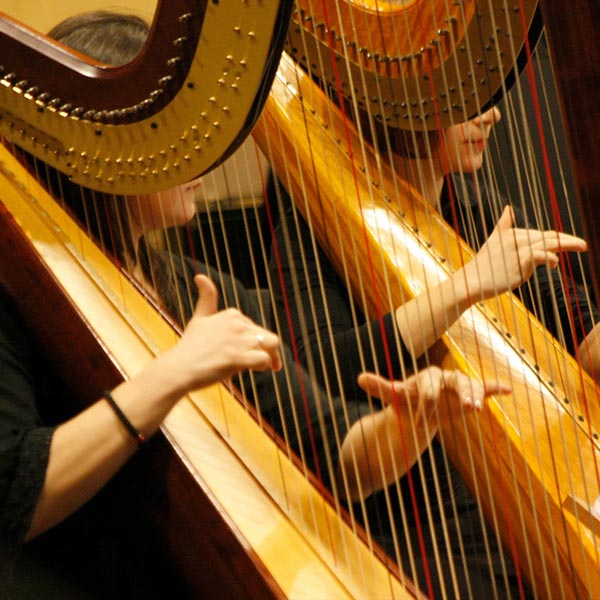 Harp Lessons in Sunnyside at Home 