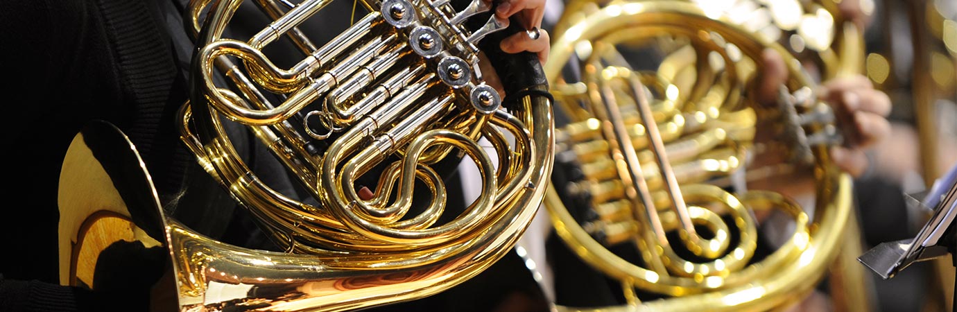 French Horn Lessons in Merrickville at Home