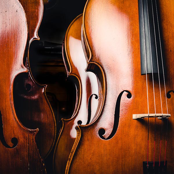 Cello Lessons in Prescott at Home 