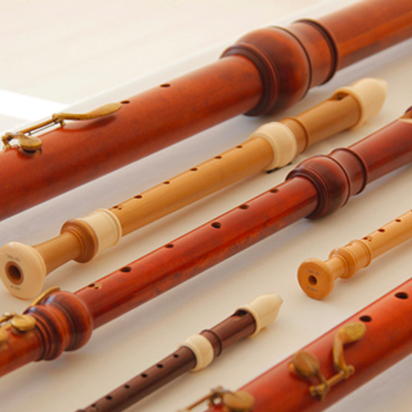 Recorder Lessons in North Gower
