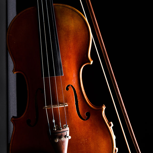 Violin Lessons in Hallville